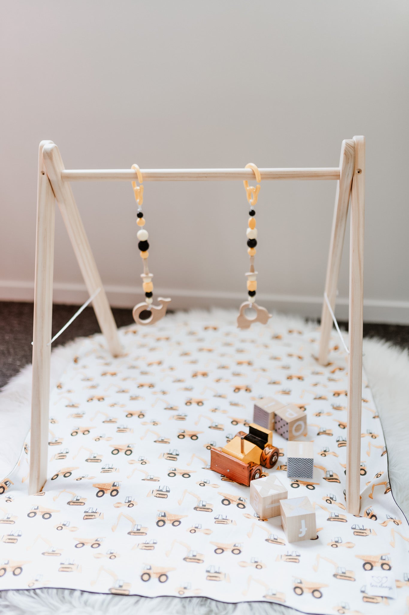 Wooden Play Gym Frame