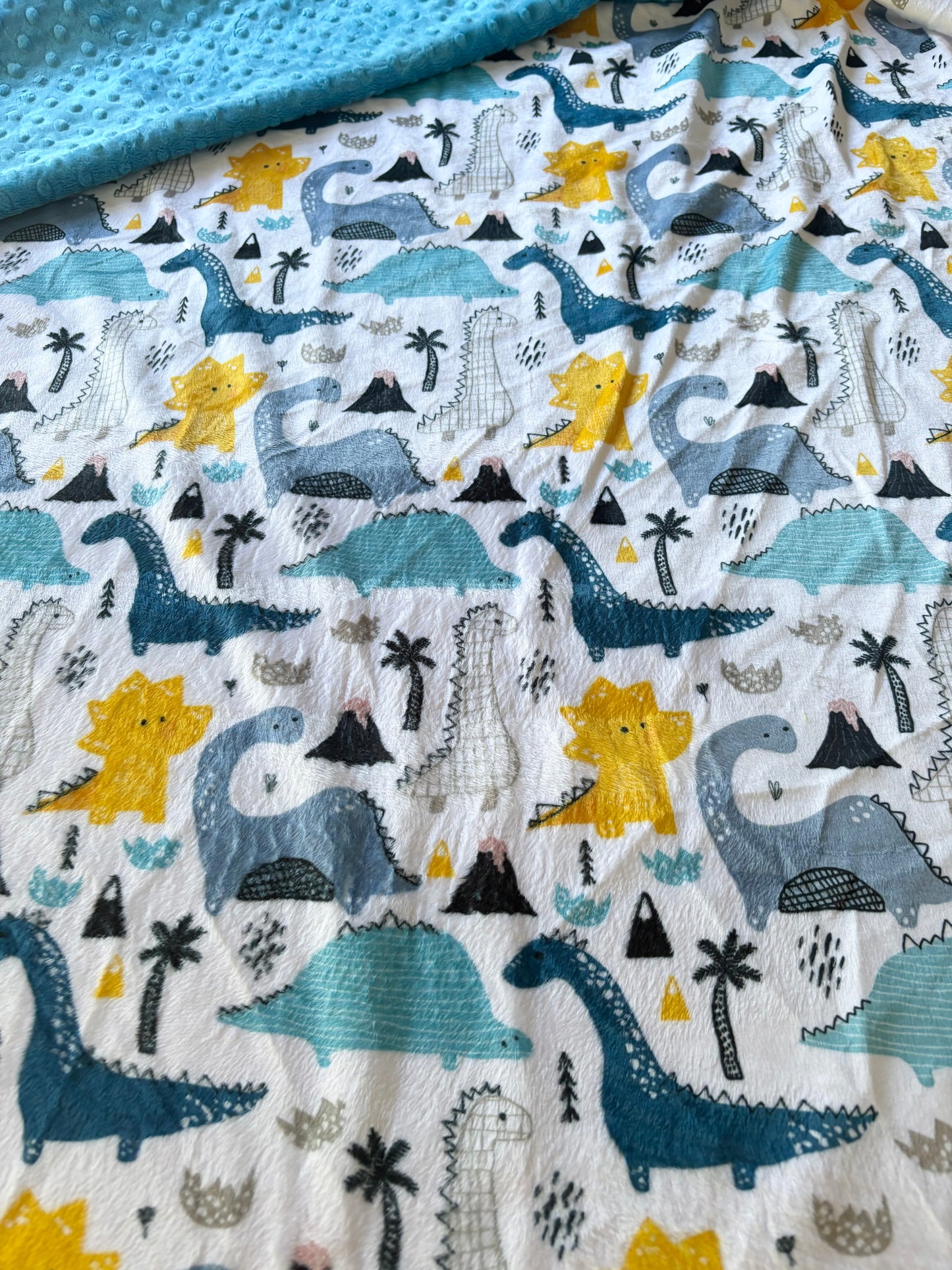 Dinosaur Toss Premium Minky